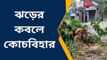 কোচবিহার: ঘুমের মধ্যে গায়ের ওপর চাল, মশারি ভেঙে গাছ চাপা! বিভীষিকার রাত