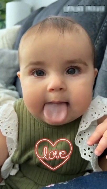 Funny videos 