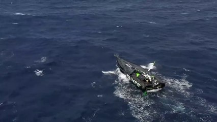 IMOCA GLOBE SERIE 2023 / Update on the dismasting of GUYOT environnement - Team Europe
