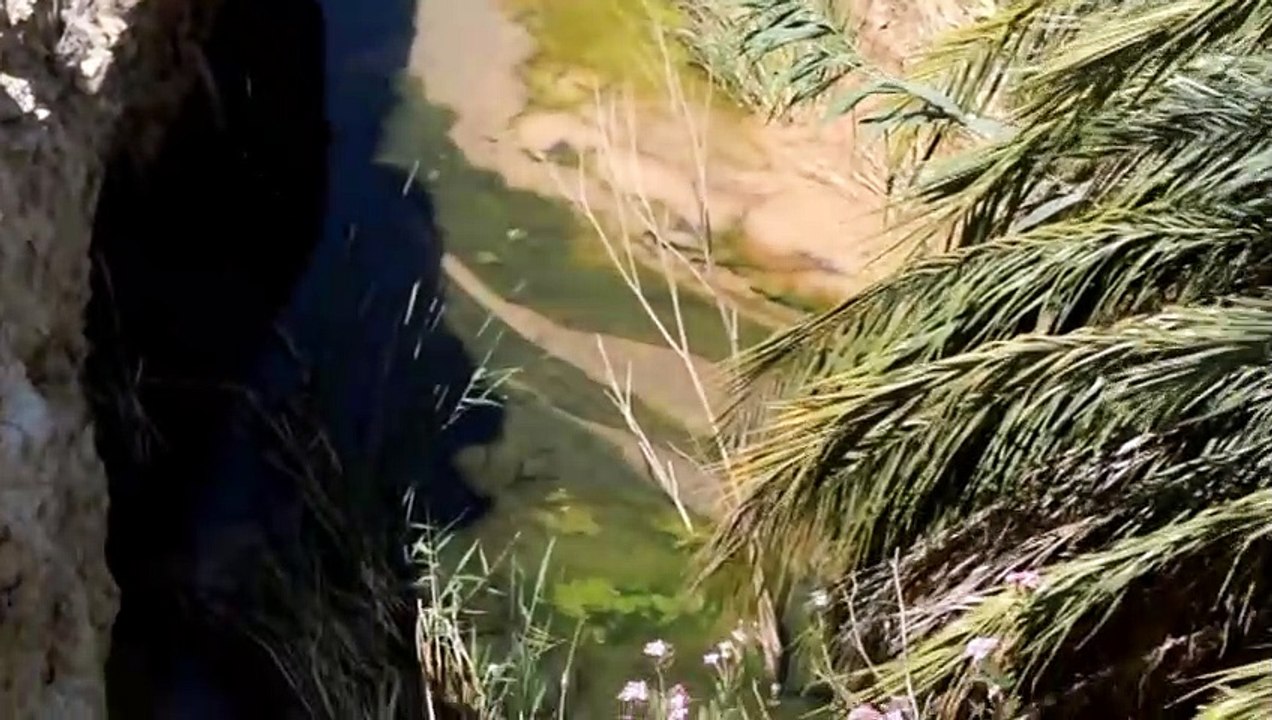 هداج الجوهرة المنسية