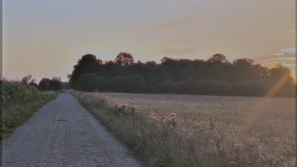 Seinabo Sey - YES (Visualizer)