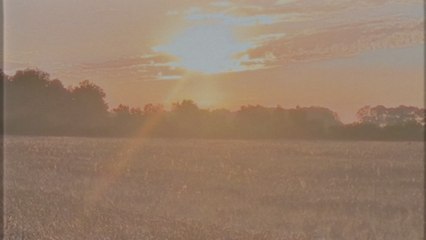 Seinabo Sey - DREAM (Visualizer)