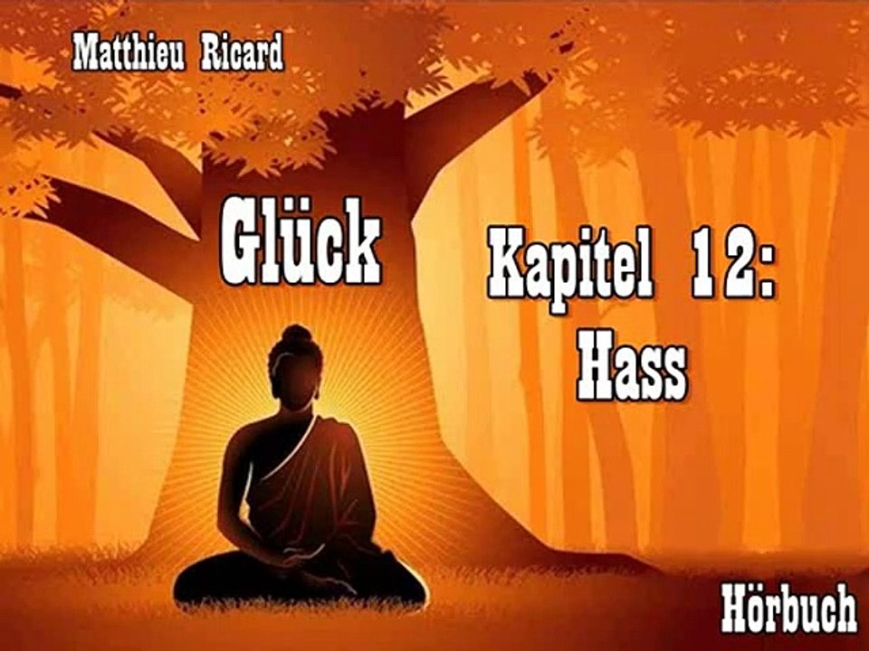 Glück Kapitel 12: Hass - Hörbuch