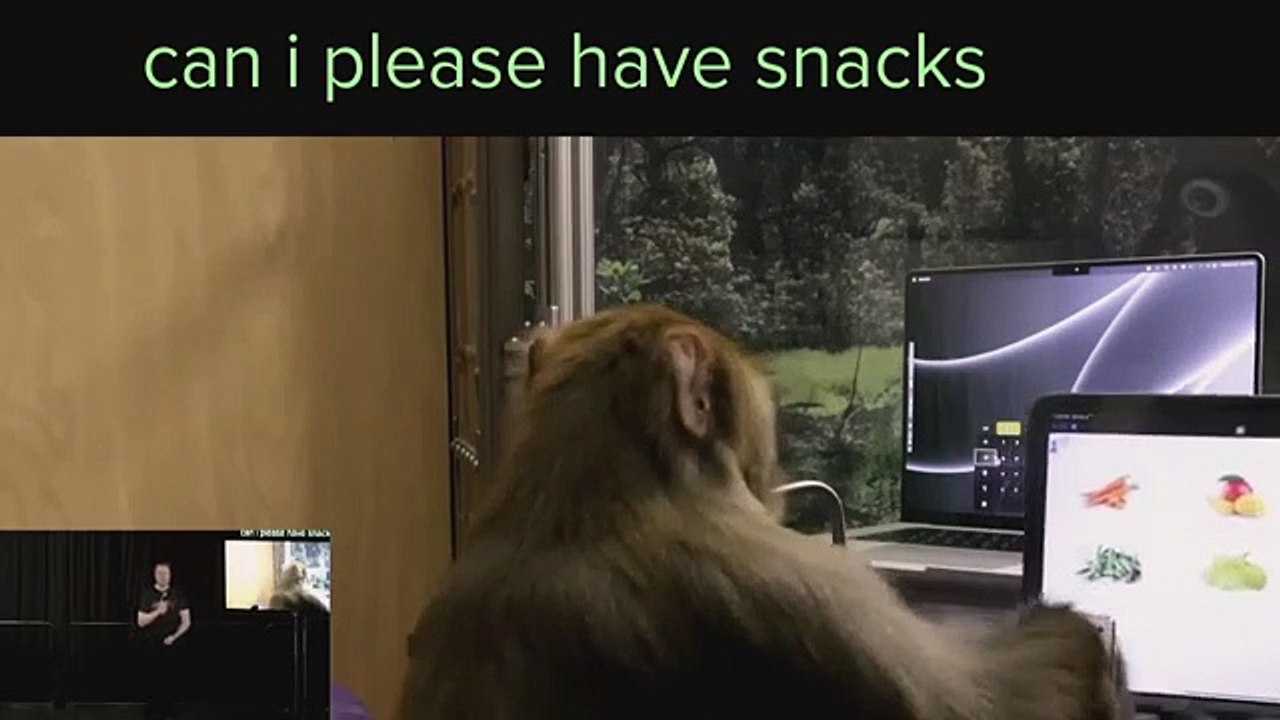 Elon Musk’s Neuralink Event Everything Revealed in 10 Minutes