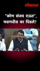 "कोण संजय राऊत", फडणवीस का चिडले?