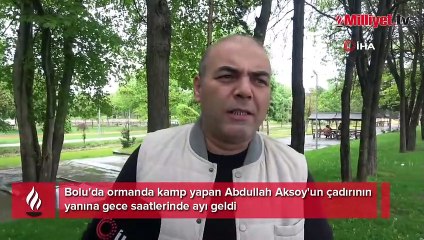 Çadırın yanına gelen ayı korku dolu anlar yaşattı!