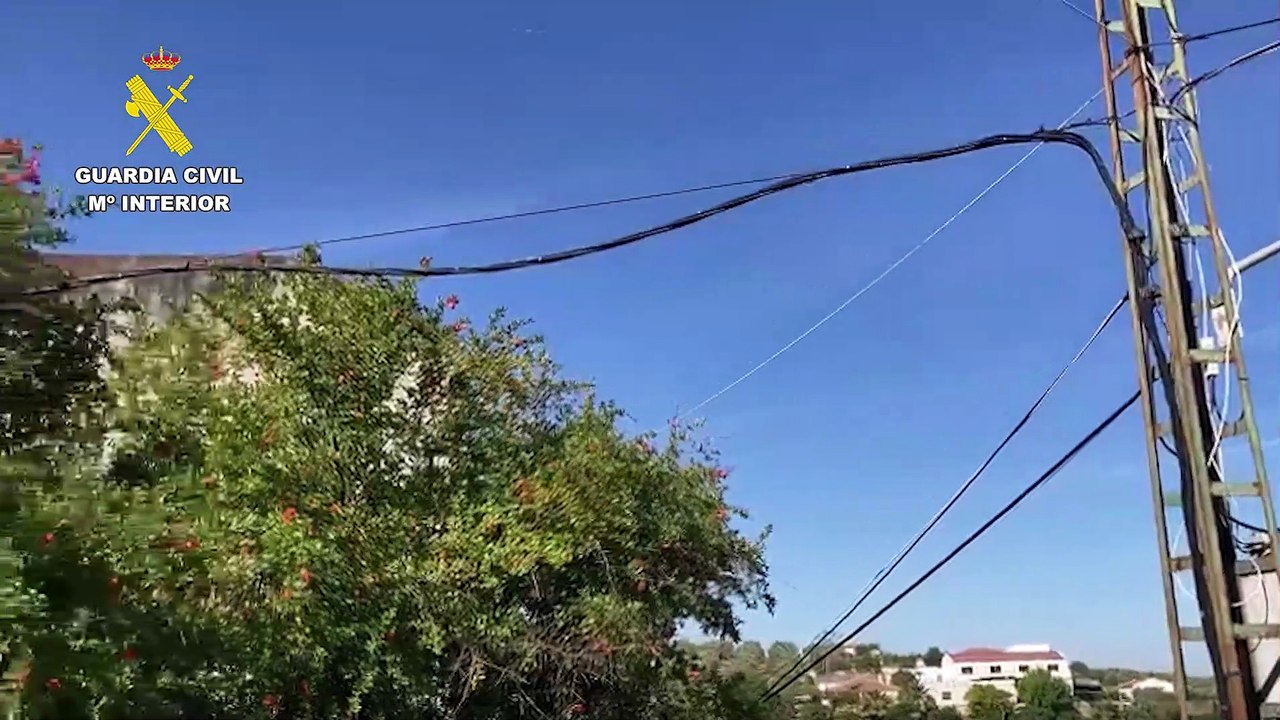 Dos detenidos por una gran plantación de marihuana enganchada ilegalmente a la luz