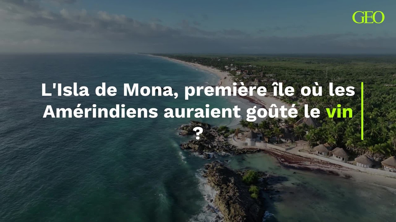 Les Amérindiens auraient-ils goûté le vin pour la première fois sur l’Isla de Mona ?