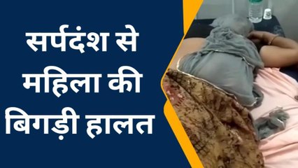 भीलवाडा: सर्पदंश से महिला की बिगड़ी हालत, किया रेफर