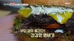 [HOT] A homemade burger made from grains that you can enjoy without any burden, 생방송 오늘 저녁 230526
