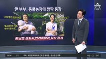“유산 후 유기견 입양”…尹 부부 깜짝 출연