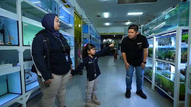 Liputan Ikan Hias Cantik Nan unik, Mazaya Terpesona Liatnya!