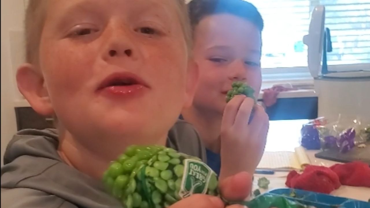 Boys can't stop laughing after mom cracks a pea-nomenal joke