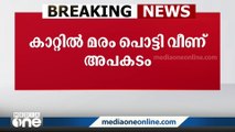 കാറ്റിൽ മരംപൊട്ടി വീണ് ഗുരുതര പരിക്കേറ്റ വയോധിക മരിച്ചു