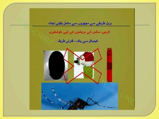 Mosquitos solution- Macher bhagany ka natural tareqa - مچھروں سے نجات کا قدرتی طریقہ