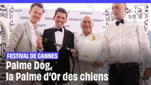Festival de Cannes : Palme Dog, la Palme d'Or des chiens