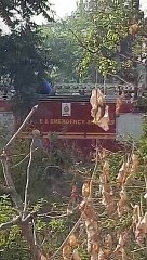 बॉयलर फटने से फैक्ट्री में लगी आग