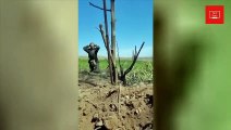 Raise your hands, stand up, an elderly Russian soldier said as he crawled to surrender to Ukrainian fighters
