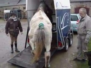 Arrivée aux écuries du Plessis