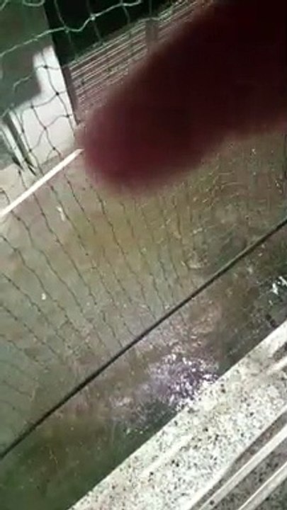 Rain in capital region