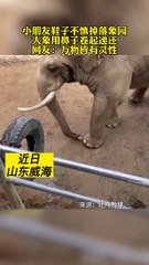 寶寶的鞋子掉落，大象用鼻子卷起送回來。Baby's shoe fell off, the elephant rolled them up with his trunk and return back.