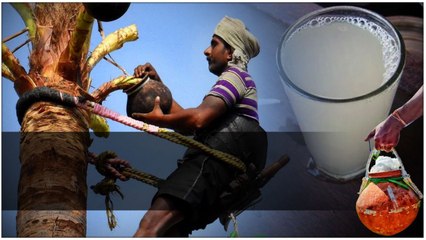 Neera Cafe: 1300 Bottles Sold Daily for Unique Taste & Health Benefits 🥤