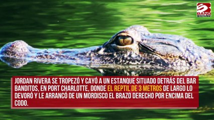 Un hombre pierde un brazo tras ser atacado por un caimán en un bar de Florida