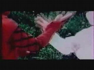 Flic ou Ninja : Le plan de Maurice