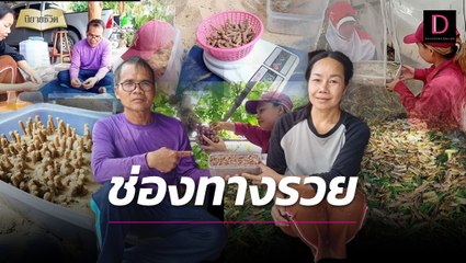 "ผัวเมียครู" เพาะไข่ "ตั๊กแตน" ขายกิโลละหมื่น! ออร์เดอร์เพียบ | นิยายชีวิต เดลินิวส์ 28/05/66