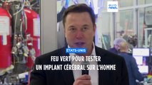 Implants cérébraux sur des humains : Neuralink d'Elon Musk a le feu vert pour des tests