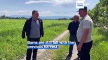 Georgian wheat farmers face fresh challenges as new harvest looms