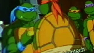 Teenage Mutant Ninja Turtles (1987) Teenage Mutant Ninja Turtles E172 State of Shock