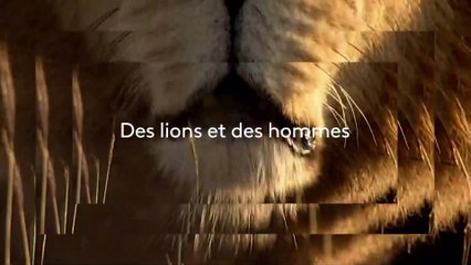 Le règne des lions du Masaï Mara - 29 mai