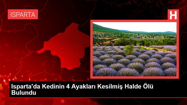 Isparta'da Kedinin 4 Ayakları Kesilmiş Halde Ölü Bulundu