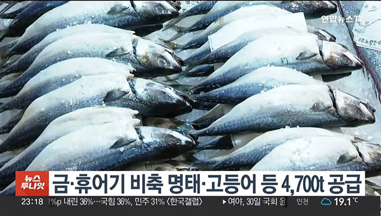 금·휴어기 비축 명태·고등어 등 4,700t 공급
