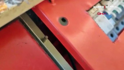 Elektrik panosunun içinde görüntülendi... Vatandaş "Biz seni daha fazla rahatsız etmeyelim" dedi