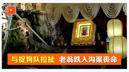老翁与捉狗队拉扯丢命 YB促当局尽快发指南