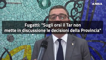 Orsi, Fugatti: "Il Tar non mette in discussione le decisioni della Provincia"