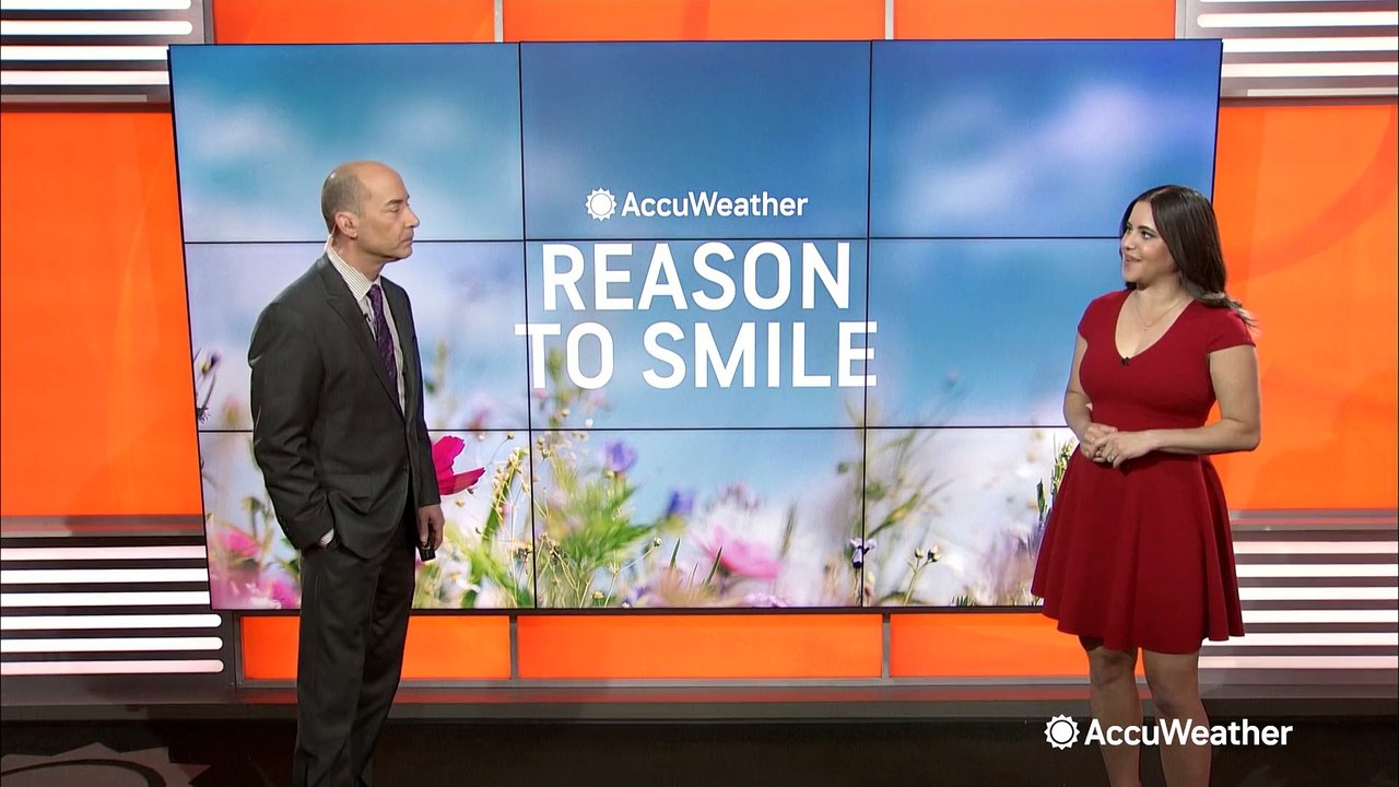 Reason to smile for May 26