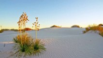 White Sands National Park | Places That Feel Unreal | Places On Earth That Don't Look Real