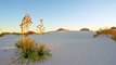 White Sands National Park | Places That Feel Unreal | Places On Earth That Don't Look Real