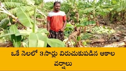 పుట్టపర్తి: జిల్లాలో అకాల వర్షాలకు పంట నష్టం @ రూ. 1.15 కోట్లు