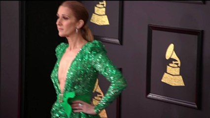 Celine Dion Cancels World Tour Amid Battle With Rare Neurological Disorder