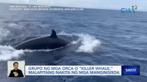 Grupo ng mga orca o killer whale, malapitang nakita ng mga mangingisda | Saksi