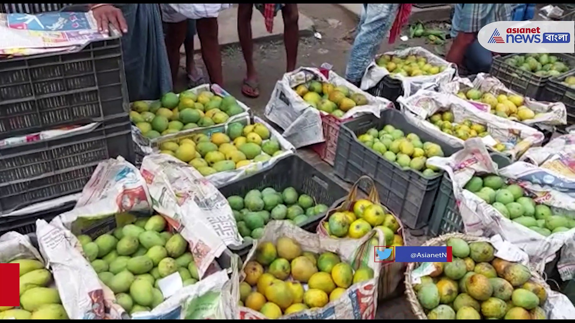 পূর্বস্থলীর পাইকারি বাজারে ধস নামলো পাকা আমের দামে, মন ভরাক্রান্ত চাষীদের