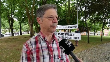 Descargar video: Associação em luta contra o abate de mais de 100 árvores no Porto