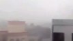 Watch: Residents shelter indoors as storm bends trees, reduces visibility to near-zero in Oman
