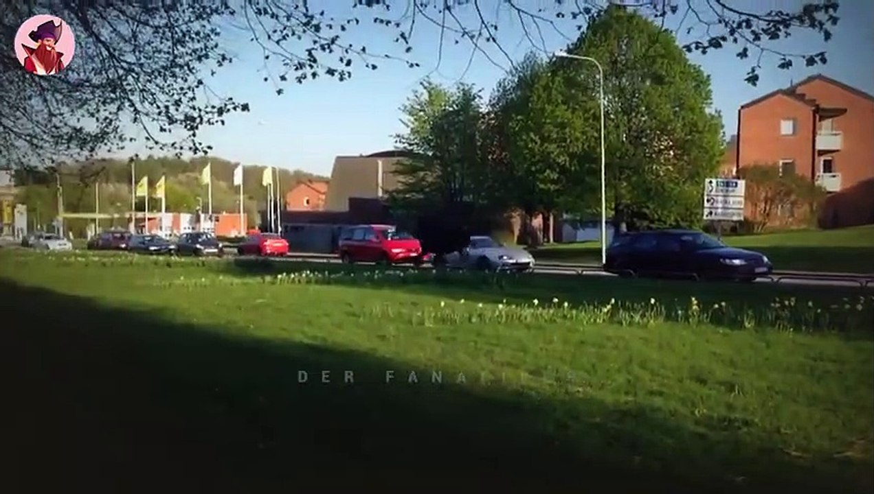 Top Schreckensmomente, wenn sich Menschen mit den falschen Tieren anlegen