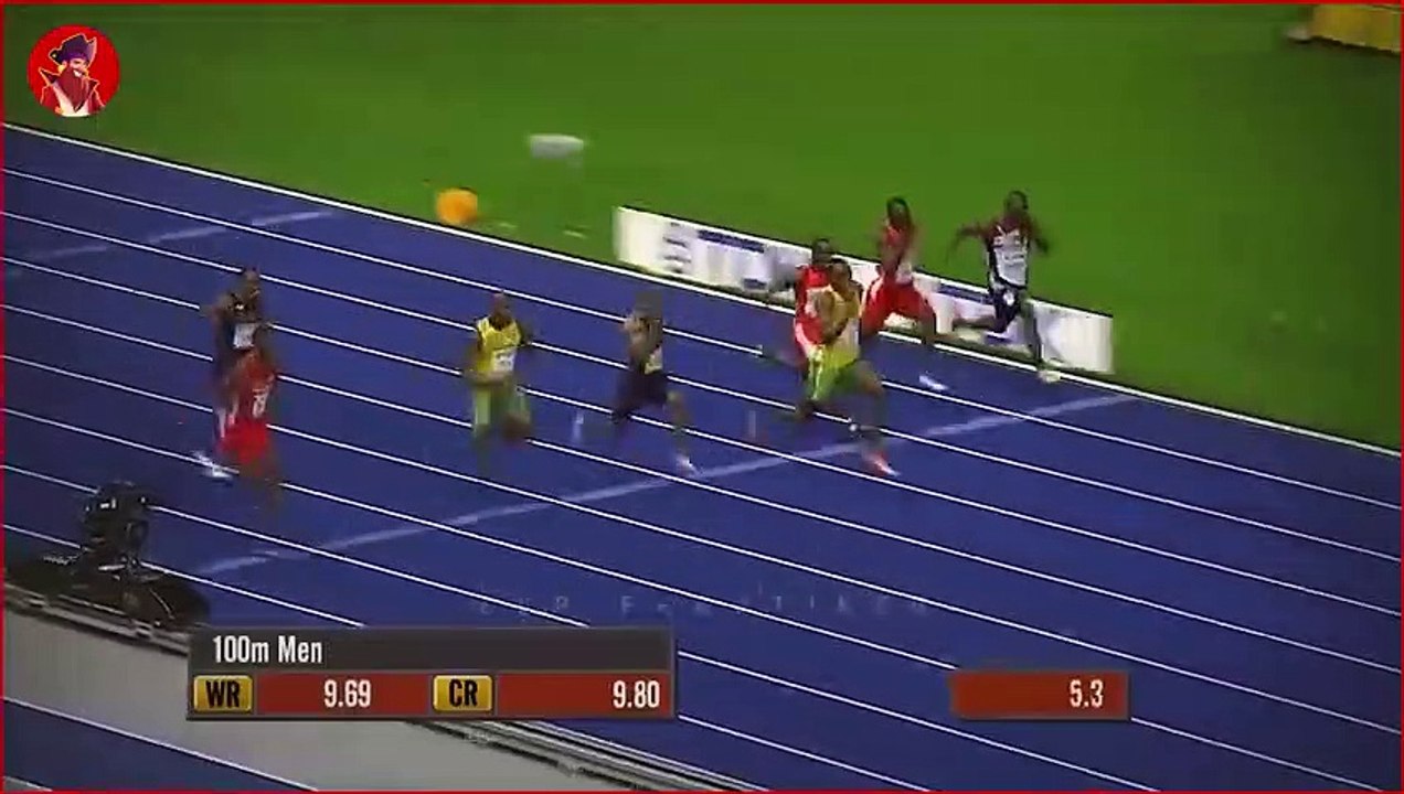 Die 15 schnellsten Tiere der Erde