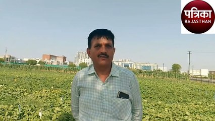 खरबूज और तरबूज की मिठास होगी दोगुनी